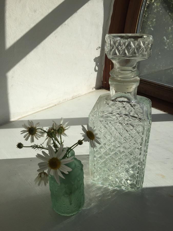 Bramming Alsbrogaard Bed & Breakfast エクステリア 写真