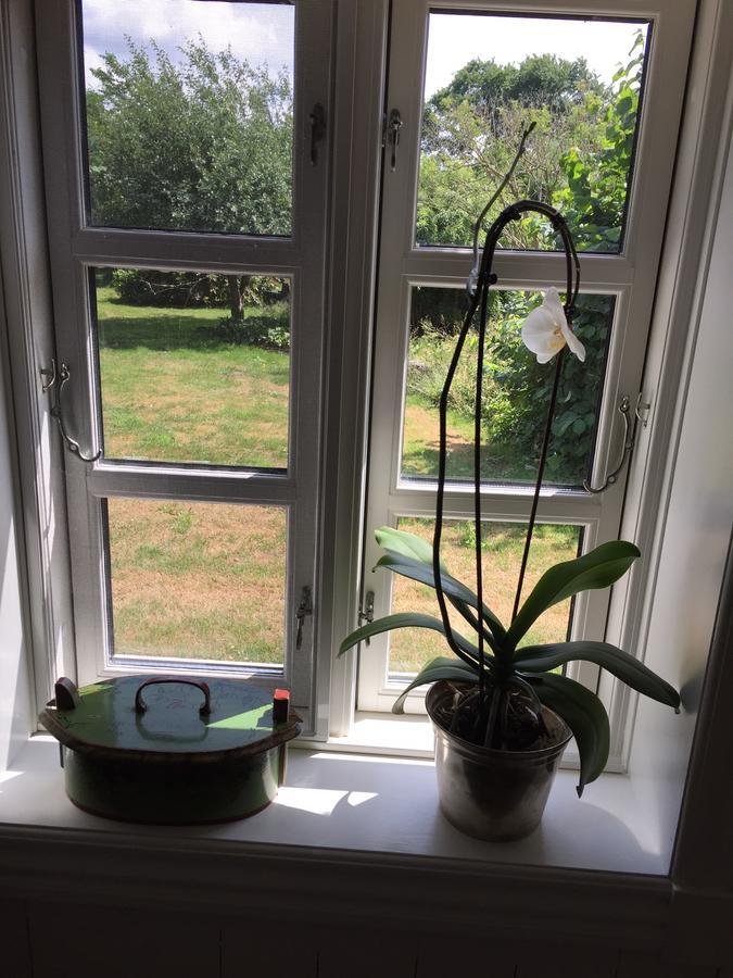 Bramming Alsbrogaard Bed & Breakfast エクステリア 写真